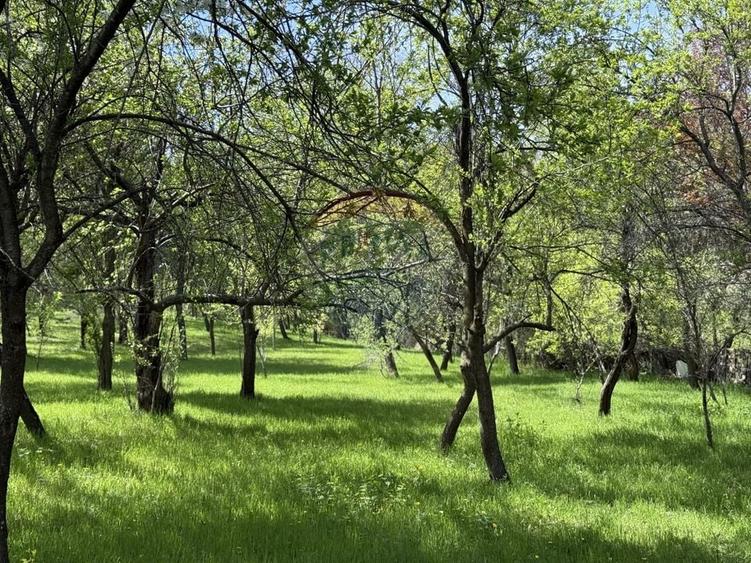 Casă  de vânzare în zona Câmpulung înconjurată de natura - 2