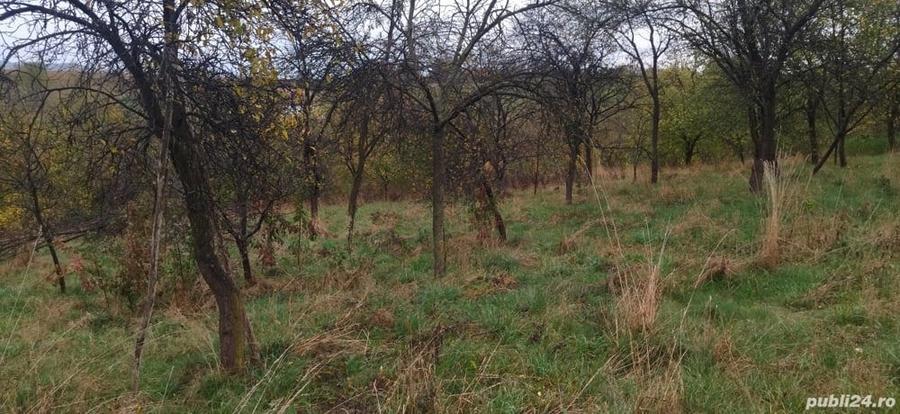 Casa de vanzare - Pischinti - 6