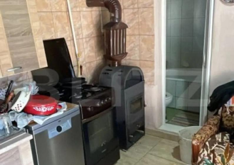 Casa cu 3 camere, 90 mp, 2 anexe gospodaresti si teren de 30 - 13