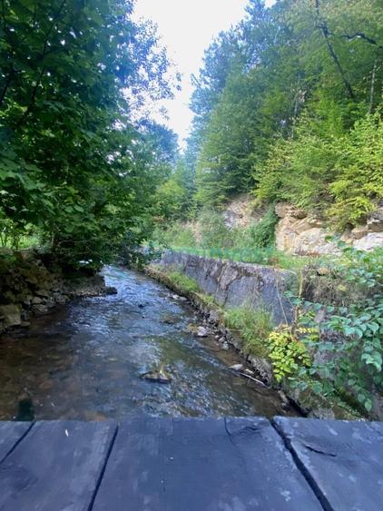 Teren de 1000 mp intravilan,Valea Finisului,Bihor - 2