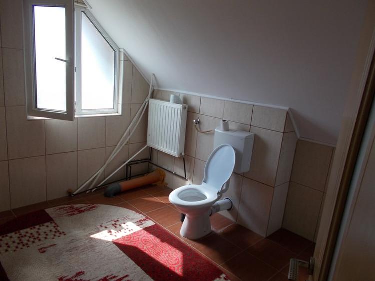 Vila, Becicherecu Mic, P+M, 4 camere, 166mp, teren 1055mp, mobilata si utilata - 9