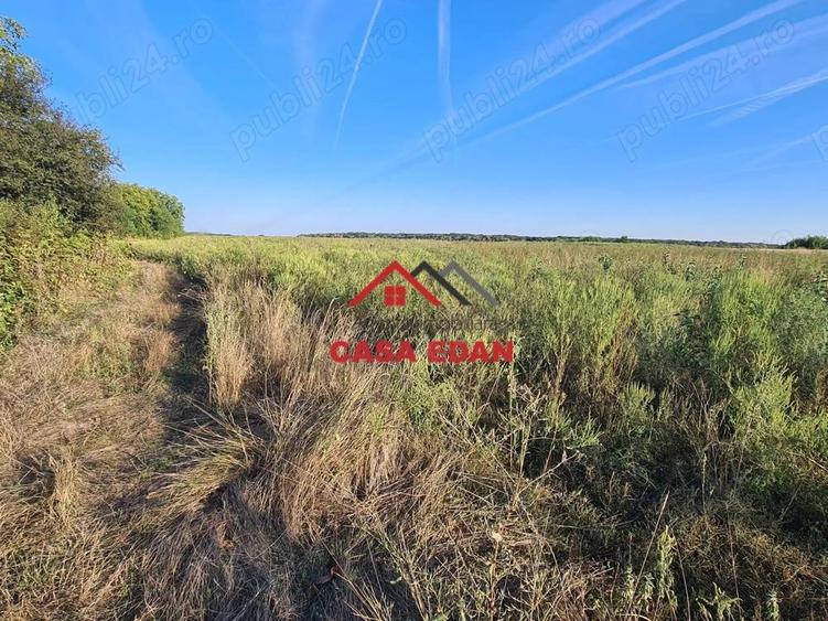 Teren extravilan in Urleta--5000m--18.500e - 4