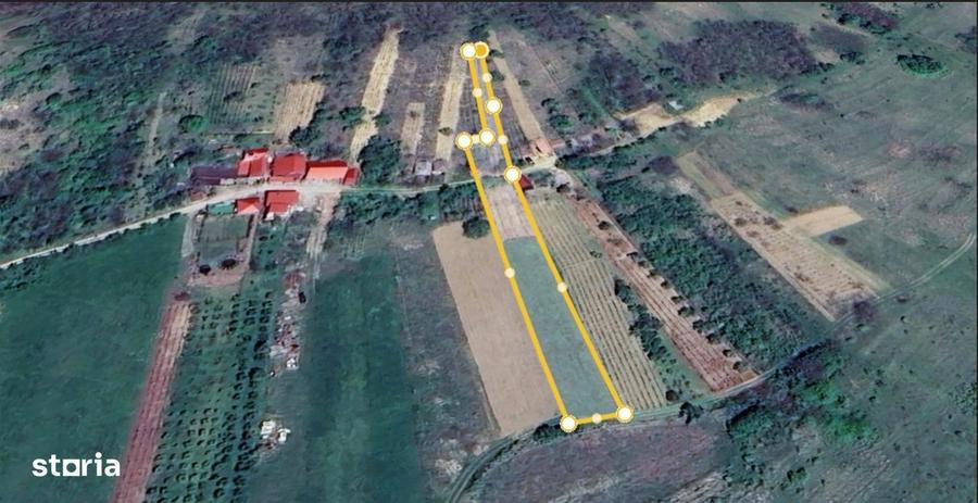 Teren in Uileacul de Cris, 2000 mp extravilan, Bihor,Gaminvest ,A2716 - 2