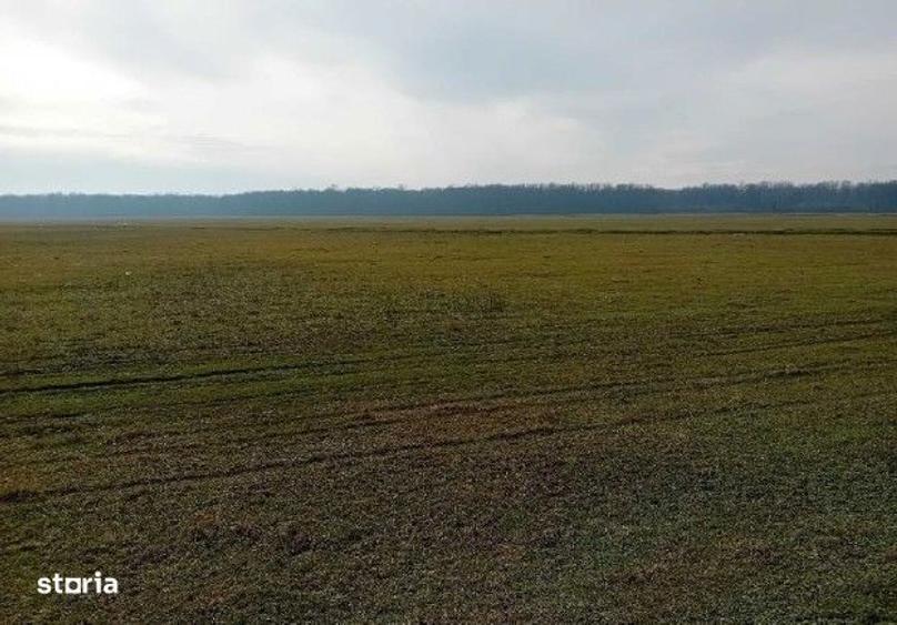 Teren extravilan 635 mp Harsesti, ID: R2922302 - 3