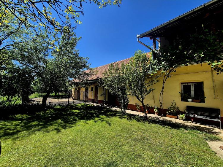 Casa de poveste, incarcata de traditie si istorie, Vad - Fagaras - 10