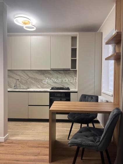 Apartament 2 Camere, Nicolae Teclu, Theodor Pallady