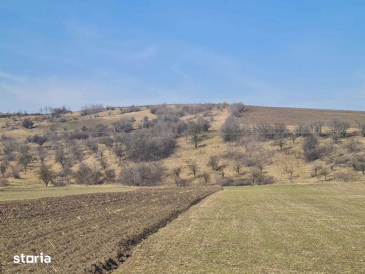 Teren extravilan 4000 mp. , Magiresti-Bacau - 1