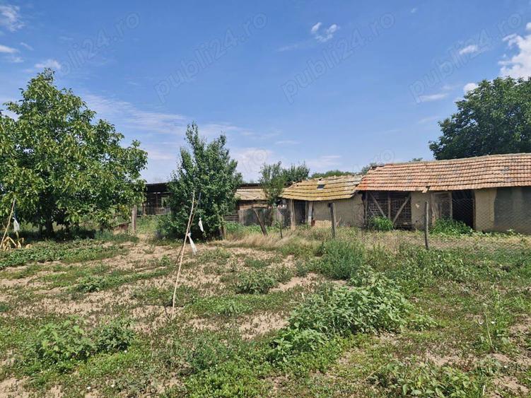 Casa de vanzare comuna ileana - 4