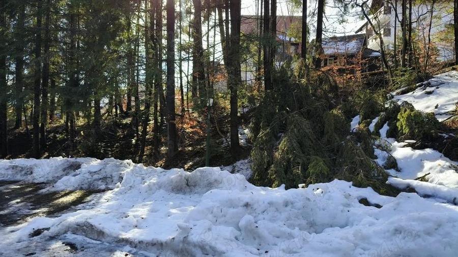 Sinaia-Teren intravilan constructii - 5