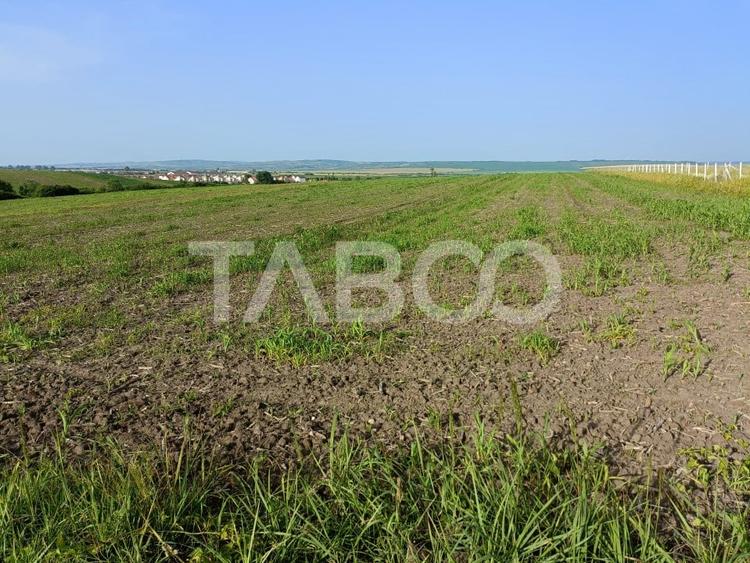 Teren 5000 mp in apropiere de case in Sura Mica - pretabil investitie - 3