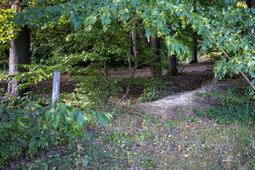 Teren intravilan 3300mp- Vulcan Brasov langa Lac si padure - zona turistica - 15