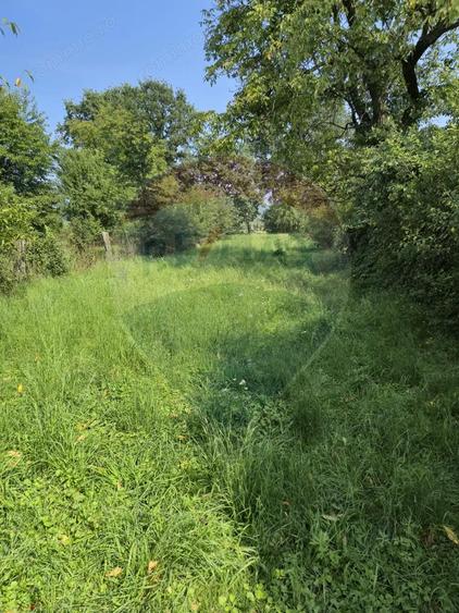 Casa / Vila cu 4 camere de vanzare - 1