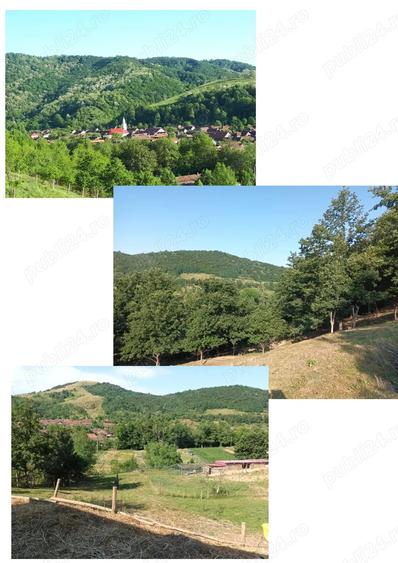 Casa cu ferma si pamanturi de vanzare - 5