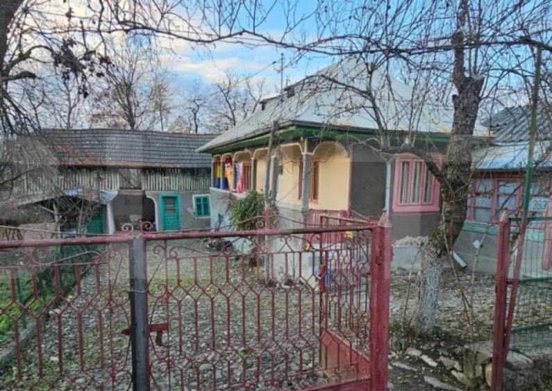 Casa rustica de vacanta (62mp) in sat Magura cu 1000mp teren - 1