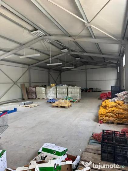 Spatiu comercial 280 mp + 700 mp curte, Filiasi - 2