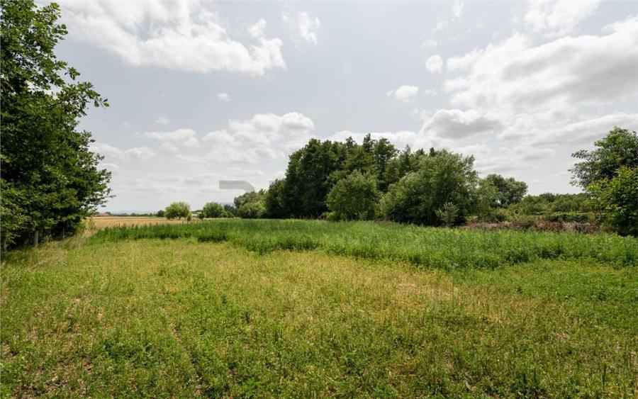 RECO Casa de Ineu - 10