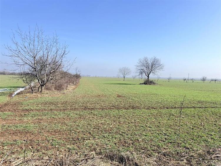 Teren Băicoi 3.000 mp | Ideal Construcție Casă sau Parcelare - 2