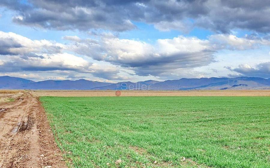 Teren extravilan Tarlungeni - 3