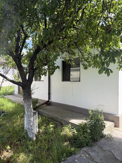 Casa cu teren 700 mp si anexa noua 60 mp Moara Domneasca, Ganeasa, Ilfov - 5
