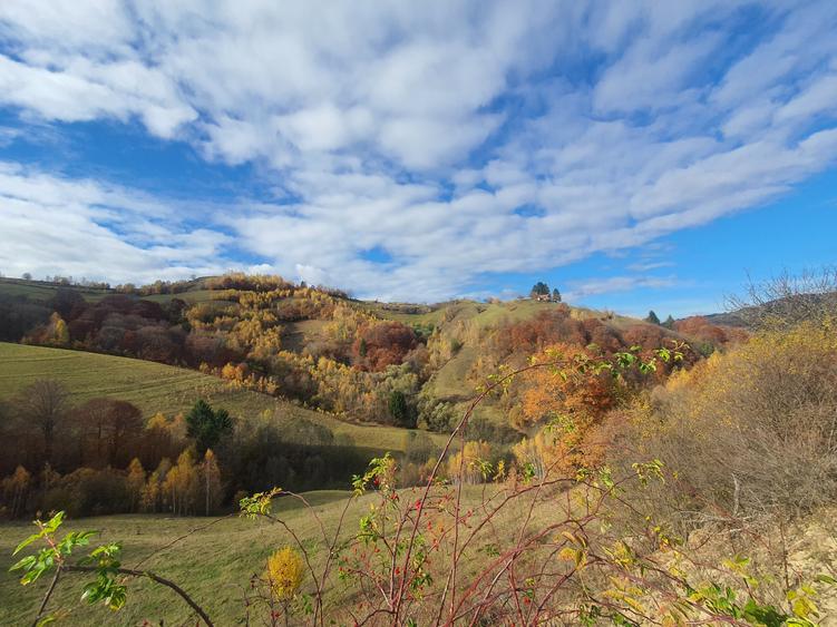 Teren Poiana Marului 4 euro/mp pretabil investitie - 2