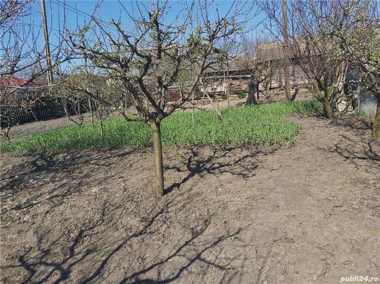 Vand casa ?i curte - 3