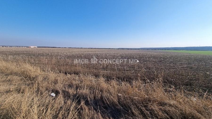 Vanzare Teren Extravilan 11000 mp, in Aricestii Rahtivani, Jud Prahova - 4