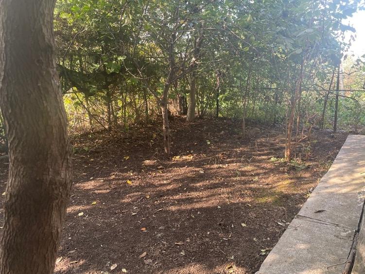 Casă cu 3 apartamente separate, ideală investitie pentru închiriere - 4