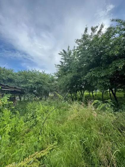 Teren intravilan 939 mp, Tag?oru Nou - 4