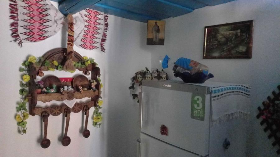 Casa de vanzare in comuna Paltinis-Botosani - 8