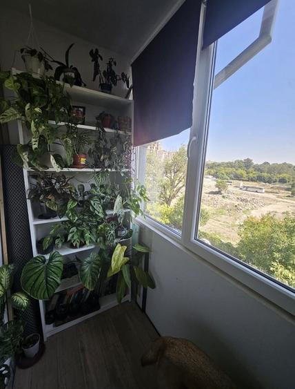 Apartament cu 2 camere nedecomandat în Circumvalațiunii