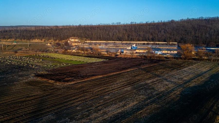 Fosta Ferma a Partidului de la Horgesti - de vanzare - 10