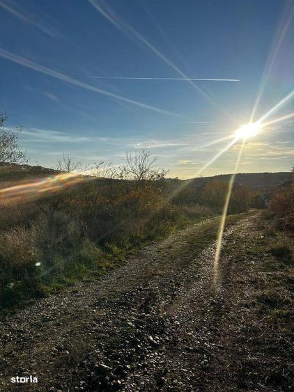 Teren intravilan de colt langa Hanul Pescarilor - 4