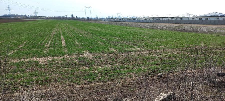 Vand loturi teren intravilan - 4