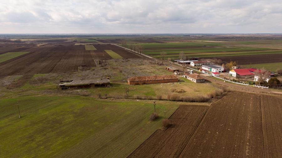 Fermă cu teren intravilan de 35000 mp în Mișca - 9