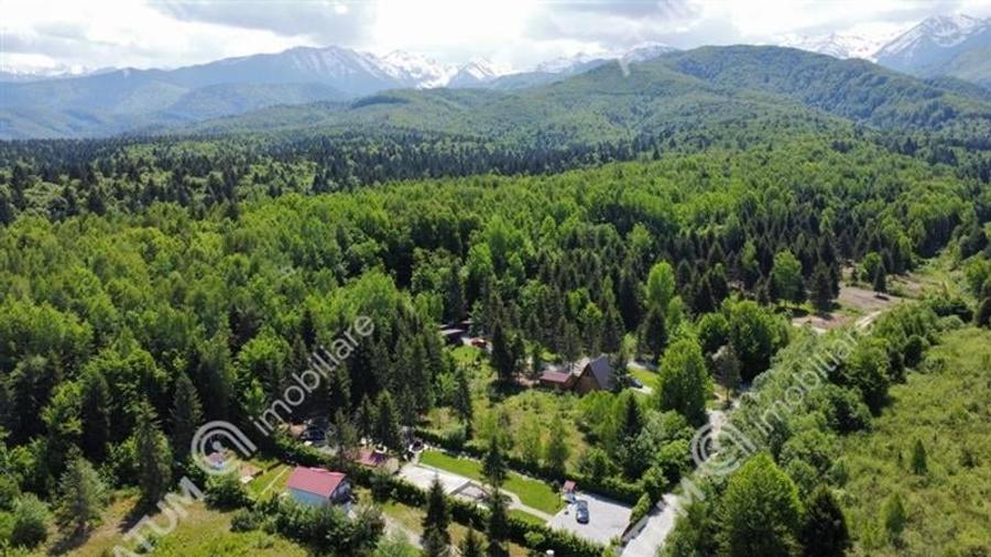 Teren intravilan de vanzare pe Valea Avrigului in suprafata de 1800 mp - 6