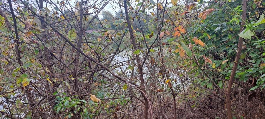 OAZA DE LINISTE SI RAFINAMENT LA MALUL LACULUI - 5