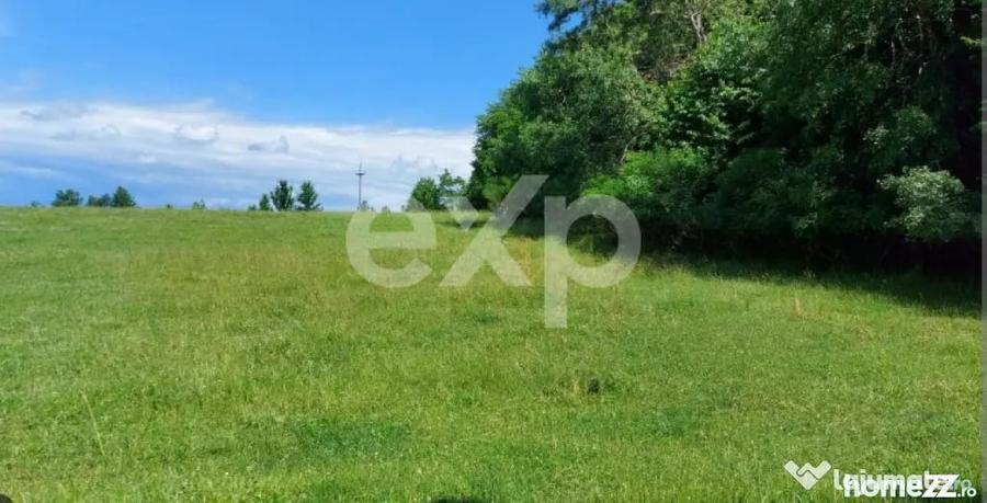 OFERTA!!! De vanzare teren extravilan, 400 m 2 in Techirg - 1