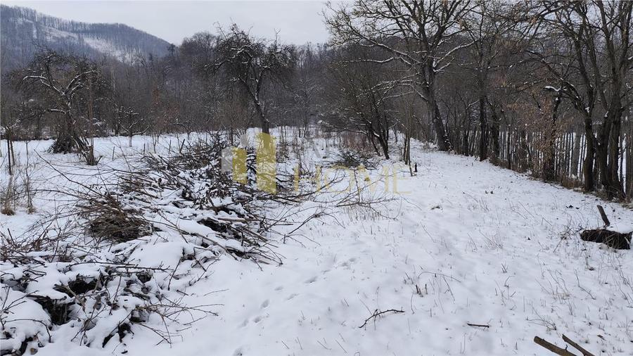Teren 3310 mp + Casa Batraneasca Bobolia - 10