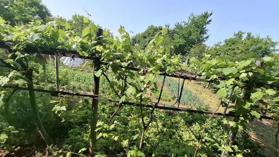 Kamsas - teren 2303 mp - deschidere 41.2 ml - 2