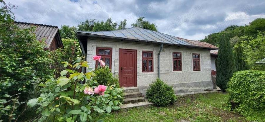 Casa de vanzare 140 m - teren de 2 400 m - sat Tronari, Judetul Buzau - 1