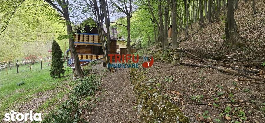 Casa de vacan?a la padure | Teren 891 mp | Valea Ighielului - 18