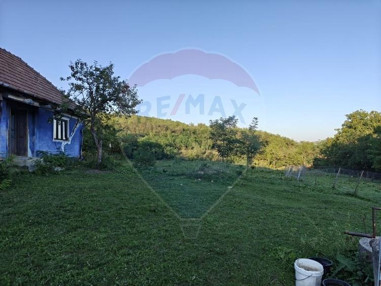 5.000 mp intravilan in Rascruci - aproape de Cluj si Parcul Industrial - 4