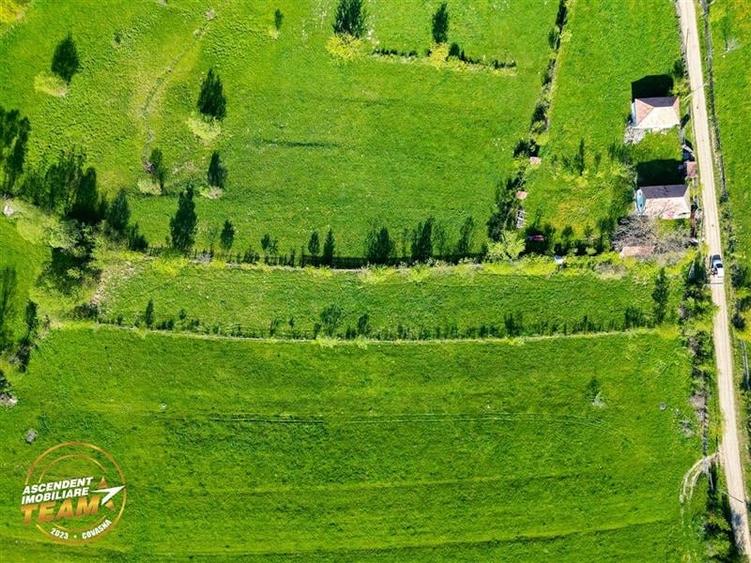 FILM! 2.063 mp de refugiu natural in localitatea Zagon, Covasna - 5