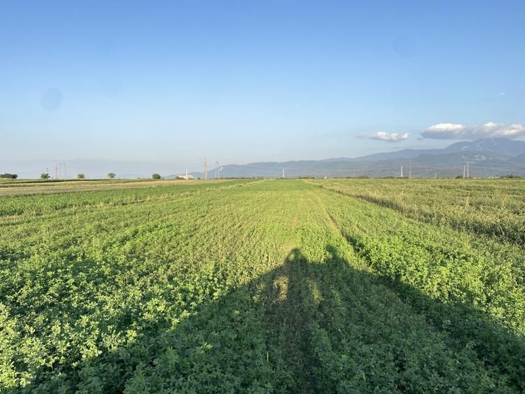 Teren extravilan de vanzare -5750 mp- deschidere la DJ 112B- Intrarea in Vulcan - 2