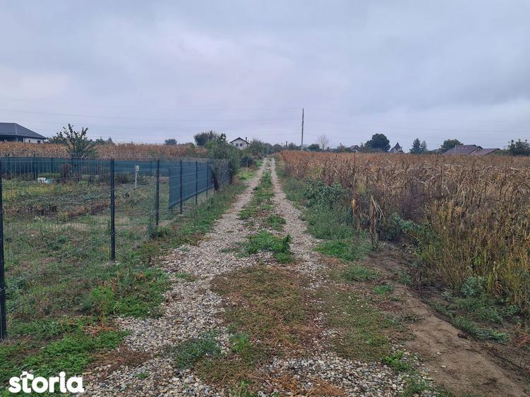 Teren intravilan 1100 mp, Lilieci-Bacau - 1