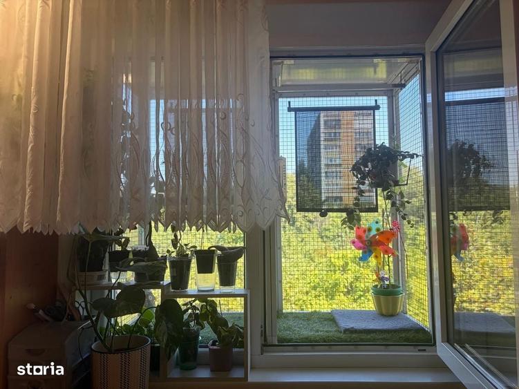 Apartament cu trei camere, Brancoveanu-Luica, 88.000 - 12