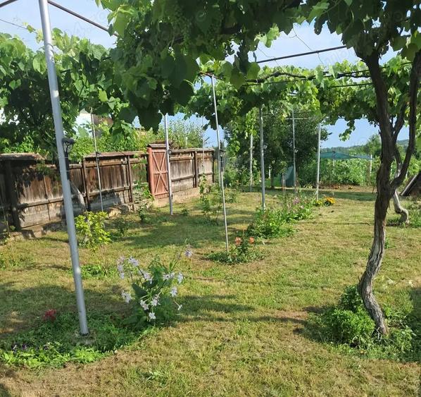 Casă cu 3 camere cu Teren 1446 Mp în Moinești