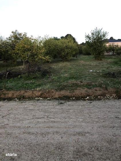 Teren de vanzare cu puz aprobat - 1