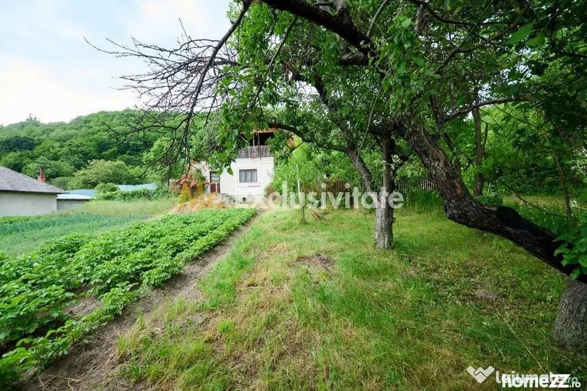 Casă cu 3 camere cu Teren 4696 Mp în Central