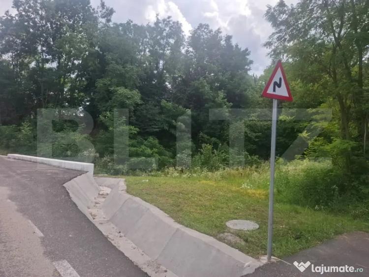 Teren în Teiș